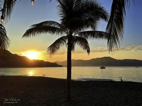 zihuatanejo message board